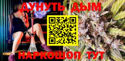 a pvp Гагарин