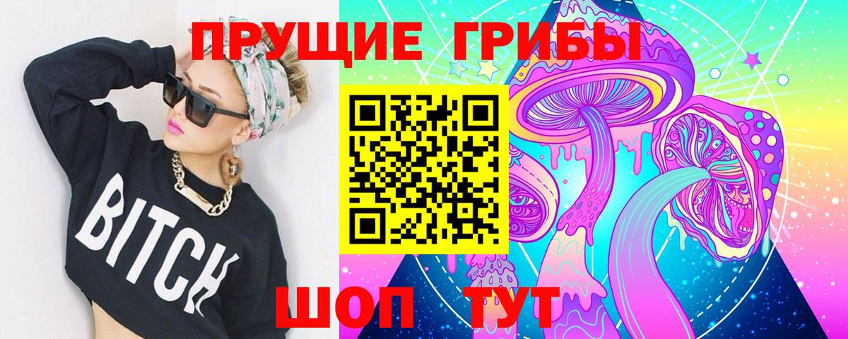 Черногорск  Псилоцибиновые грибы Psilocybine cubensis  Вход с VPN  Псилоцибиновые грибы мухоморы 