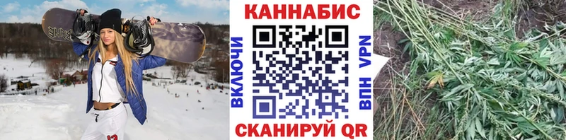 Шишки марихуана MAZAR хочу наркоту Черногорск